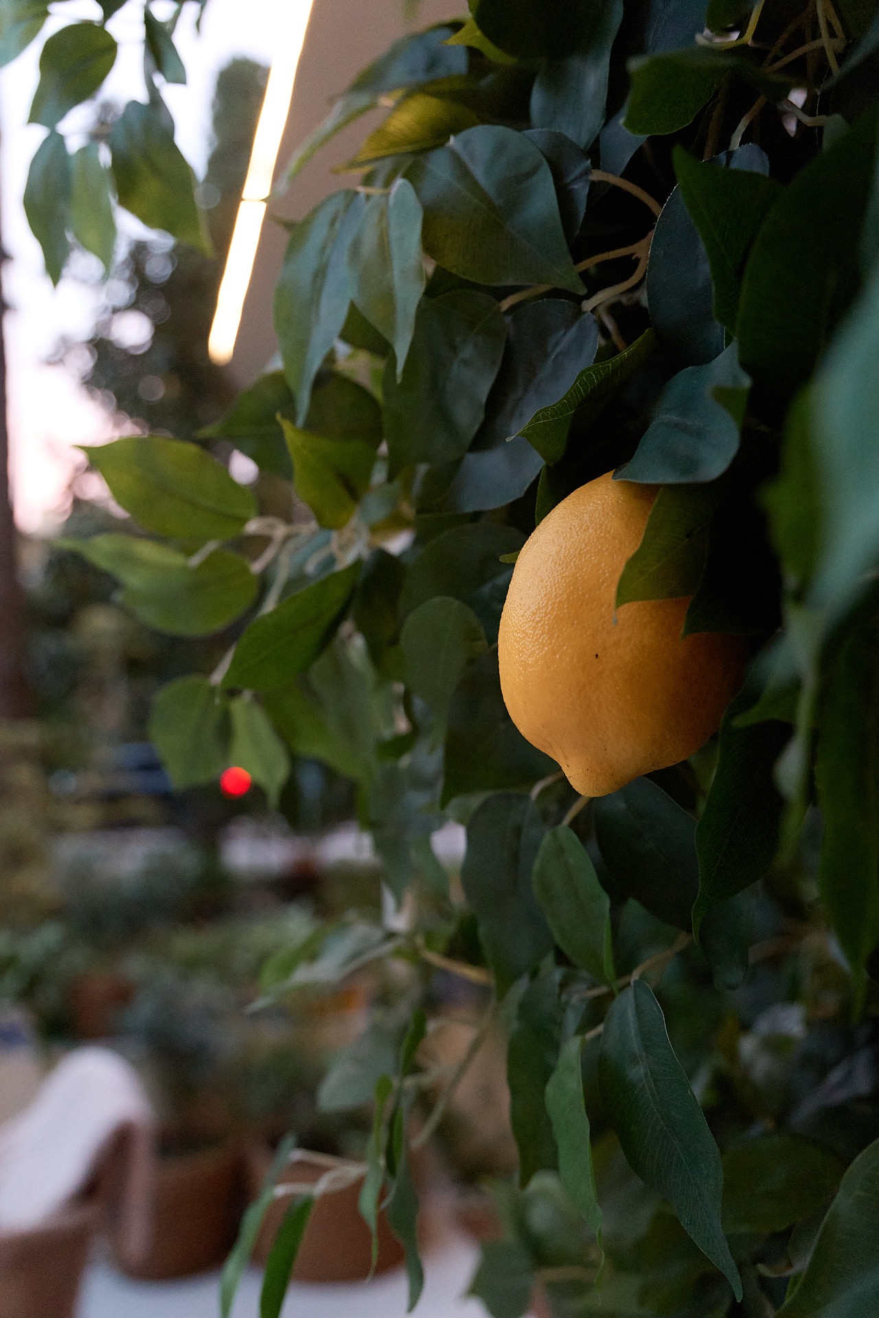 photo-001